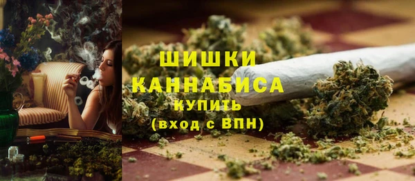 стафф Каменногорск