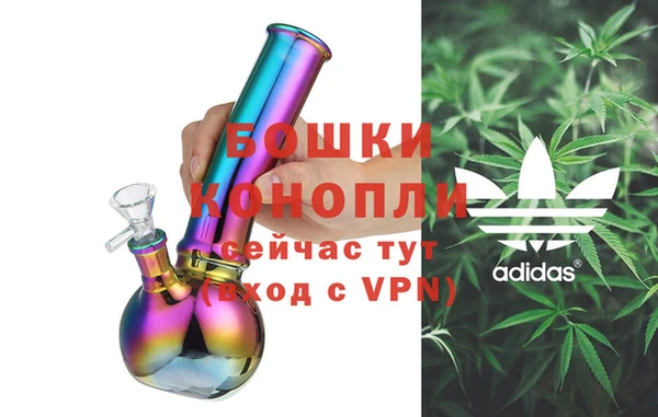 стафф Каменногорск