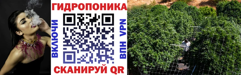Бошки Шишки марихуана Вилюйск